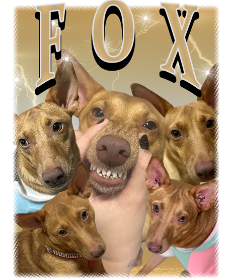 Camiseta Personalizada Bootleg Modelo 1