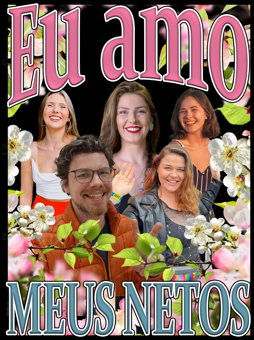 Camiseta Eu amo meus netos Personalizada